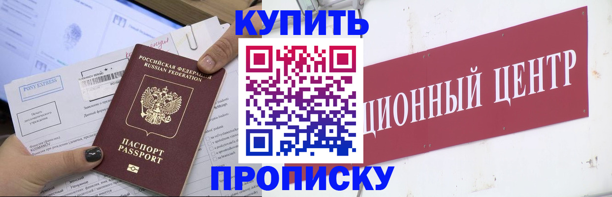 прописка поиск в Бийске